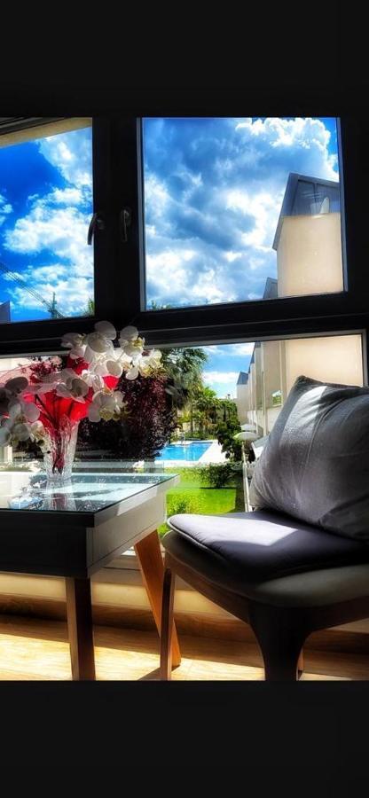 Beach Apartment Amalia Torrevieja Dış mekan fotoğraf