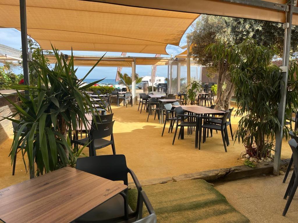 Beach Apartment Amalia Torrevieja Dış mekan fotoğraf